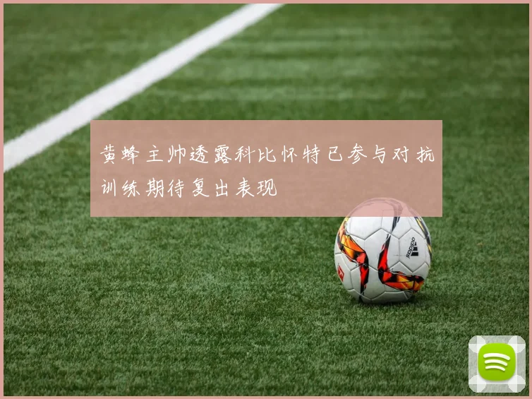 黄蜂主帅透露科比怀特已参与对抗训练期待复出表现