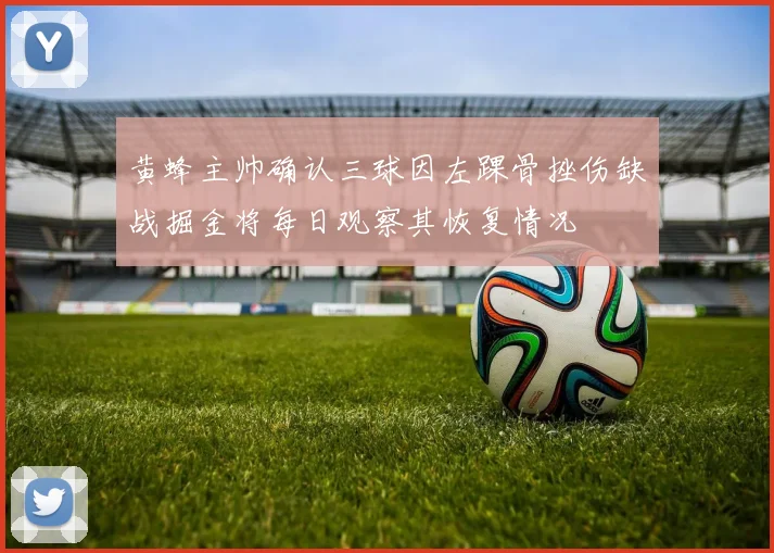 黄蜂主帅确认三球因左踝骨挫伤缺战掘金将每日观察其恢复情况